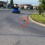 Pothole Repair at 15566 Mcivor Bv SE