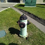 Fire Hydrant Concerns at 1530 Aviation Rd NE