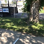 Sidewalk or Curb Repair at 230 4 St NE