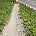 Sidewalk or Curb Repair at 4980 25 St SE