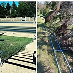 Fence, Noise Barrier, Retaining Wall on City Property - Repair at 1504 Cavanaugh Pl NW