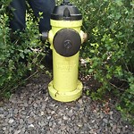 Fire Hydrant Concerns at 204 Walden Cr SE