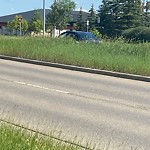 DO NOT USE - Mowing on the Boulevard 60+ km/h-WAM at 883 Harvest Hills Dr NE