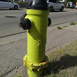 Fire Hydrant Concerns at 602 16 Av NW