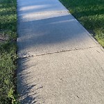 Sidewalk or Curb - Repair at 89 Tommy Prince Rd SW