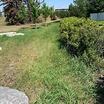 Mowing - Within a Park at 6 Eagle Ridge Dr SW