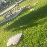 Garbage in a Park at 1516 11 St SW