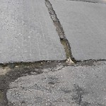Pothole Repair at 102 Hamptons Dr NW