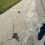 Sidewalk or Curb Repair at 1411 Shawnee Dr SW