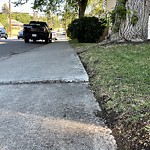 Sidewalk or Curb Repair at 2316 7 Av NW