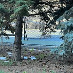 Garbage in a Park at 848 Mcpherson Rd NE