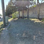Debris - Street, Sidewalk, Boulevard at 3500 5 Av NE