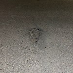 Pothole Repair at 8138 Bowness Rd NW