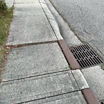 Sidewalk or Curb - Repair at 103 Coral Keys Vi NE