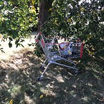 Garbage in a Park at 3516 15 St SW