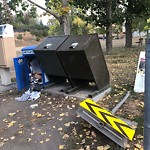 Debris or Overflowing Garbage Bins - in a Park at 2201 Cliff St SW