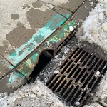 Catch Basin / Storm Drain Concerns at 9408 Hidden Valley Dr NW