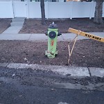 Fire Hydrant Concerns at 739 Bracewood Dr SW