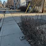 Road Signs on Street, Lane, Sidewalk - Repair or Replace at 528 21 Av SW