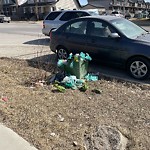 Debris on Street, Sidewalk, Boulevard at 306 Skyview Ranch Rd NE