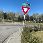 Road Signs on Street, Lane, Sidewalk - Repair or Replace at 13 Chaparral Wy SE