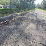 Pedestrian and Cycling Pathway - Repair at 322 Scimitar Ba NW
