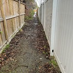 Pedestrian and Cycling Pathway - Repair at 36 Woodglen Ga SW