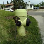 Fire Hydrant Concerns at 491 Cedarpark Dr SW