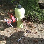 Fire Hydrant Concerns at 260 Brookgreen Dr SW