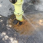 Fire Hydrant Concerns at 2501 Alyth Rd SE