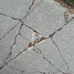 Sidewalk or Curb - Repair at 3804 19 St SW