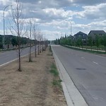 DO NOT USE - Mowing - Residential Boulevard up to 50km/h-WAM at 4375 Sage Hill Dr NW