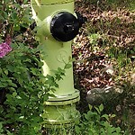Fire Hydrant Concerns at 102 Pumpridge Pl SW