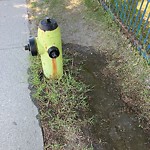 Fire Hydrant Concerns at 5196 Northland Dr NW