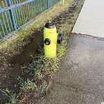 Fire Hydrant Concerns at 5194 Northland Dr NW