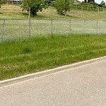 DO NOT USE - Mowing - Residential Boulevard up to 50km/h-WAM at 1344 Southdale Cr SW
