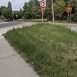 DO NOT USE - Mowing - Residential Boulevard up to 50km/h-WAM at 1161 19 St SW
