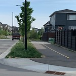 DO NOT USE - Mowing - Residential Boulevard up to 50km/h-WAM at 78 Seton Gv SE