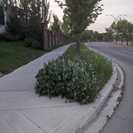 DO NOT USE - Mowing - Residential Boulevard up to 50km/h-WAM at 157 Walden Rise Se, Calgary, Ab T2 X 0 M7, Canada