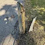 Fence Concern in a Park-WAM at 92 Bernard Dr NW