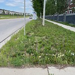 DO NOT USE - Mowing on the Boulevard 60+ km/h-WAM at 98 Nolan Hill Bv NW