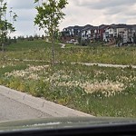 DO NOT USE - Mowing on the Boulevard 60+ km/h-WAM at 13241 Sarcee Tr NW