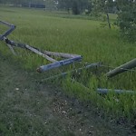 Fence Concern in a Park at 2500 90 Av SW