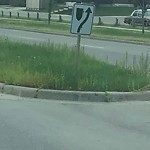 DO NOT USE - Mowing on the Boulevard 60+ km/h-WAM at 222 Sunhaven Ba SE