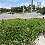 DO NOT USE - Mowing - Residential Boulevard up to 50km/h-WAM at 1351 University Dr NW