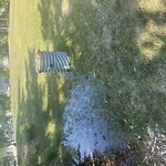 Sprinkler Maintenance in a Park-WAM at Copperfield Calgary Ab