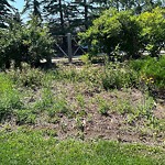 Shrubs, Flowers, Leaves Maintenance in a Park-WAM at 500 Citadel Dr NW
