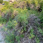 Shrubs, Flowers, Leaves Maintenance in a Park-WAM at 325 Discovery Ridge Bv SW