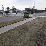 DO NOT USE - Mowing - Residential Boulevard up to 50km/h-WAM at 253 Coverdale Rd NE