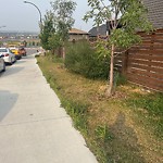 DO NOT USE - Mowing - Residential Boulevard up to 50km/h-WAM at 11 Lucas Tc NW